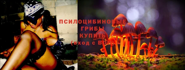 СК Володарск